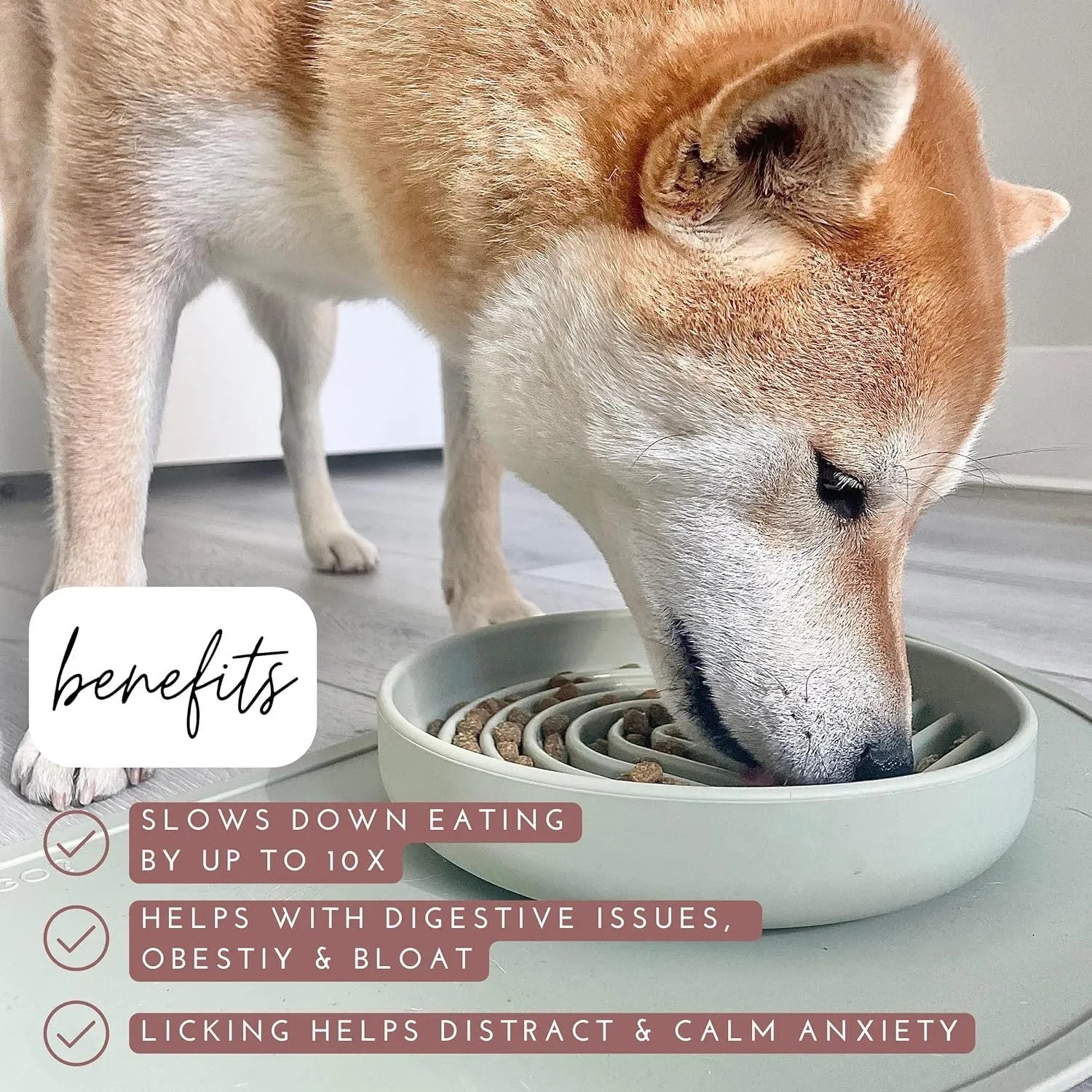 Silicone slow feeder bowl for dogs with ridge design in six colour options