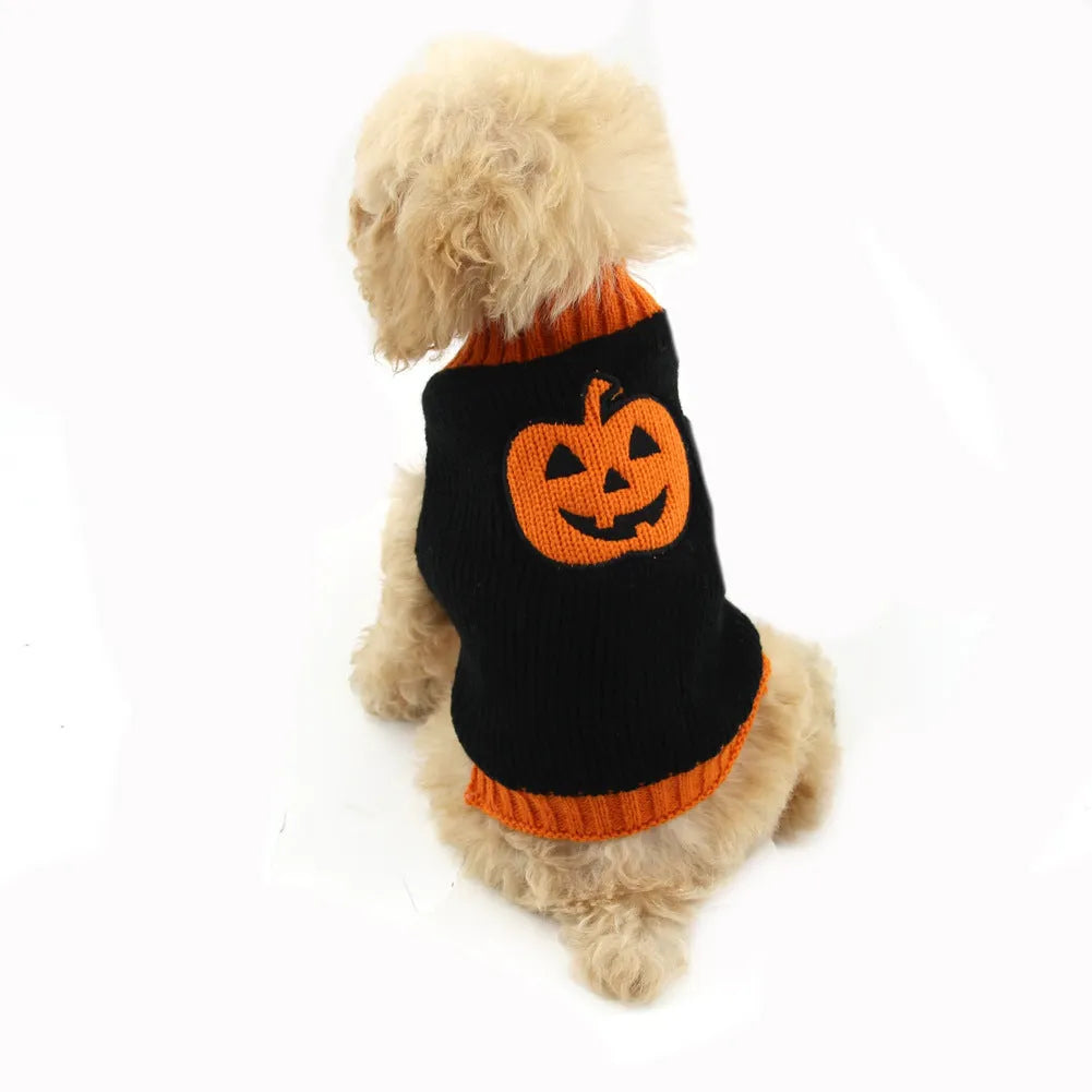 Pet Halloween dog knitted pumpkin sweater in orange with black pumpkin detail on a white background
