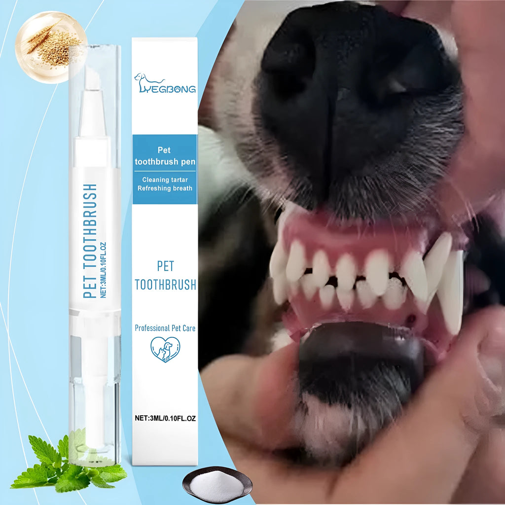 Soft bristle pet toothbrush pen with ergonomic handle for gentle dog and cat teeth cleaning