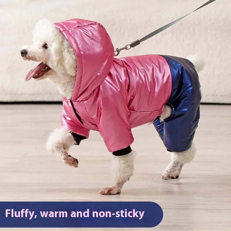 Green waterproof cotton dog coat on a dog, showing four-legged design.