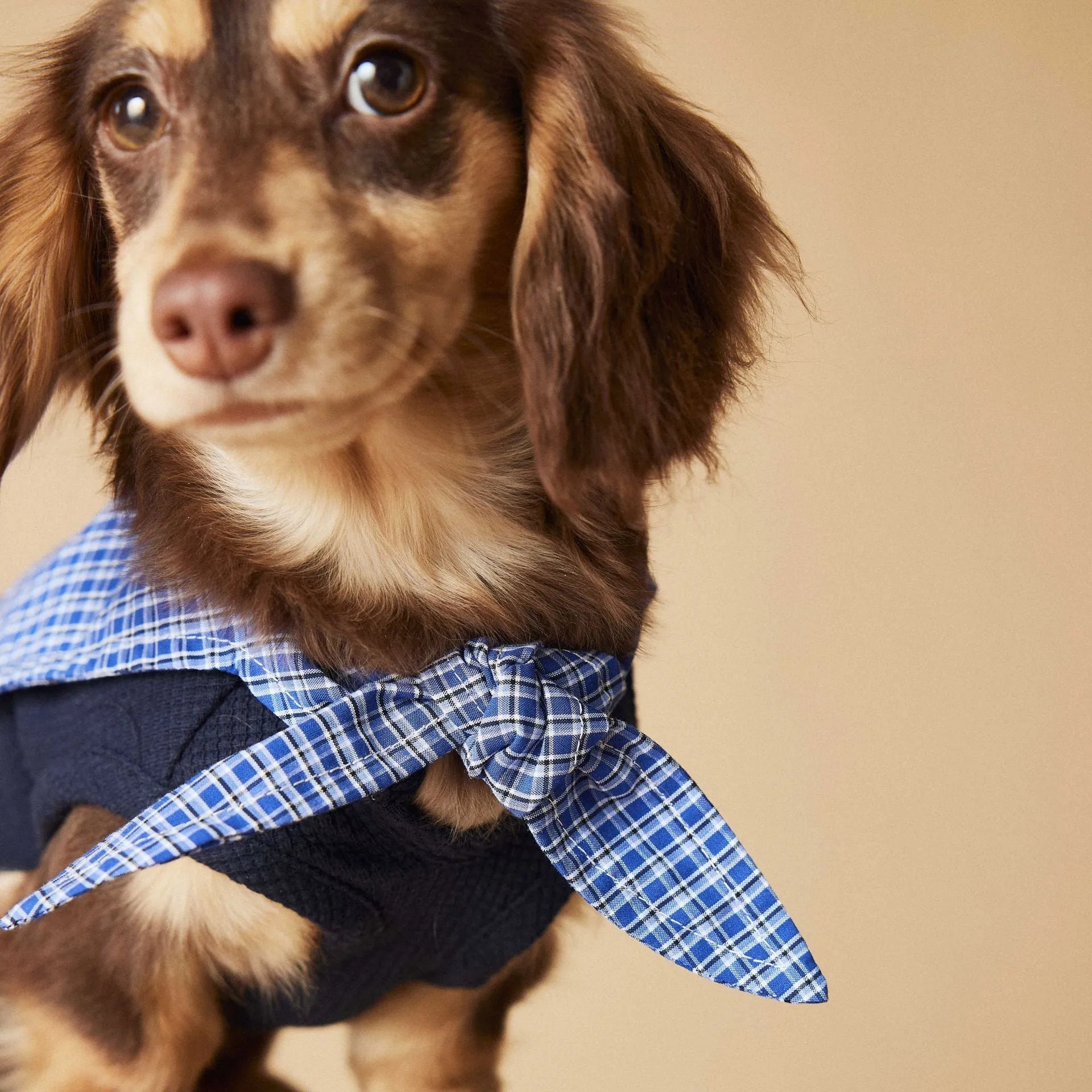 Sailor collar sleeveless dog vest in beige polyester, side view on a small breed dog
