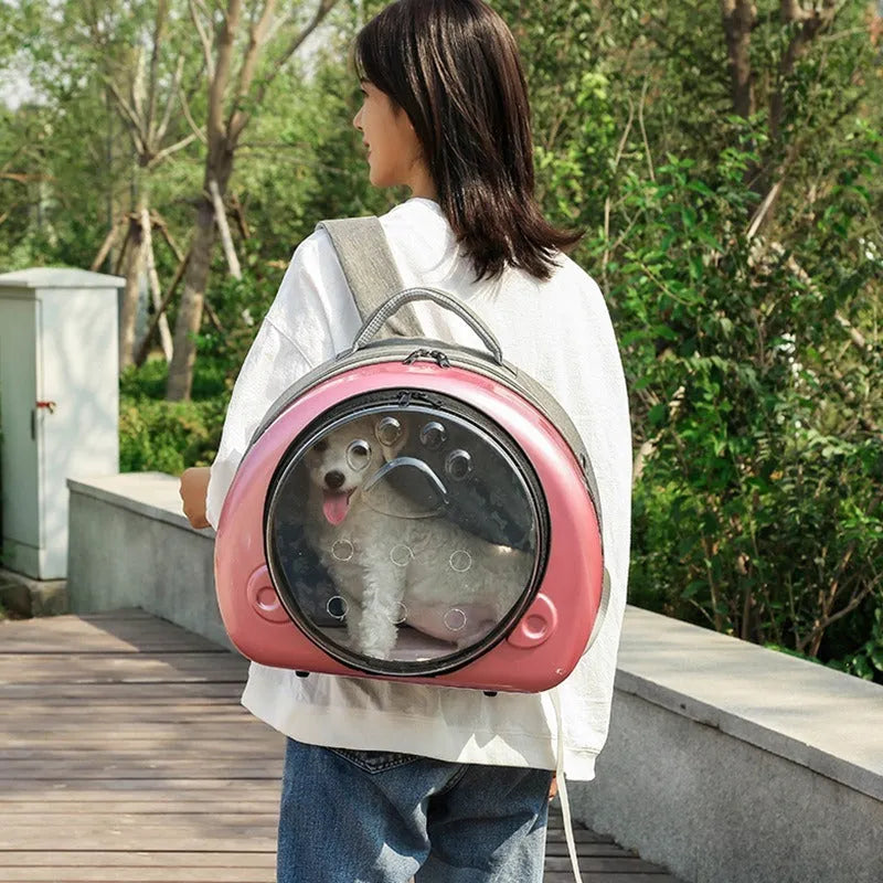 Transparent space capsule design cat carrier backpack with mesh panels in a metallic colour