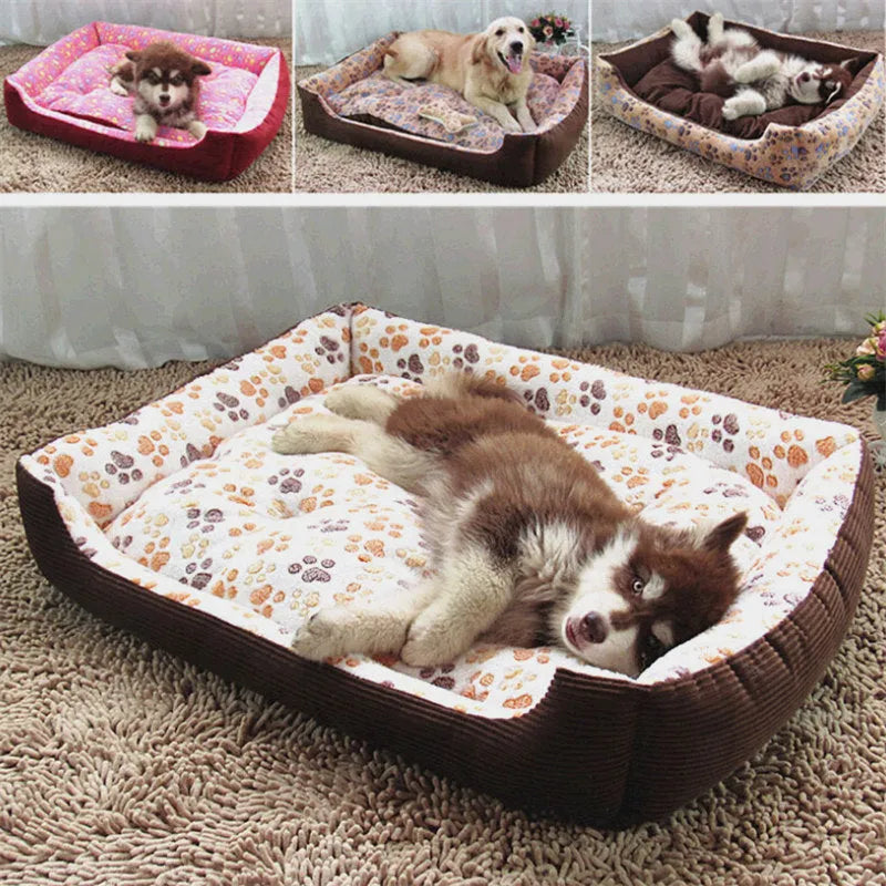 Beige plush dog bed with removable cover on a wooden floor, shown next to a small dog.