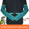 Dark green leather pet handling gloves with extended sleeves for animal bite protection