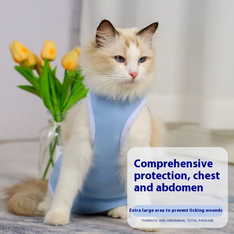 Blue pet sterilization suit with adjustable scarf on a cat, cotton anti-licking clothing for post-surgery recovery.