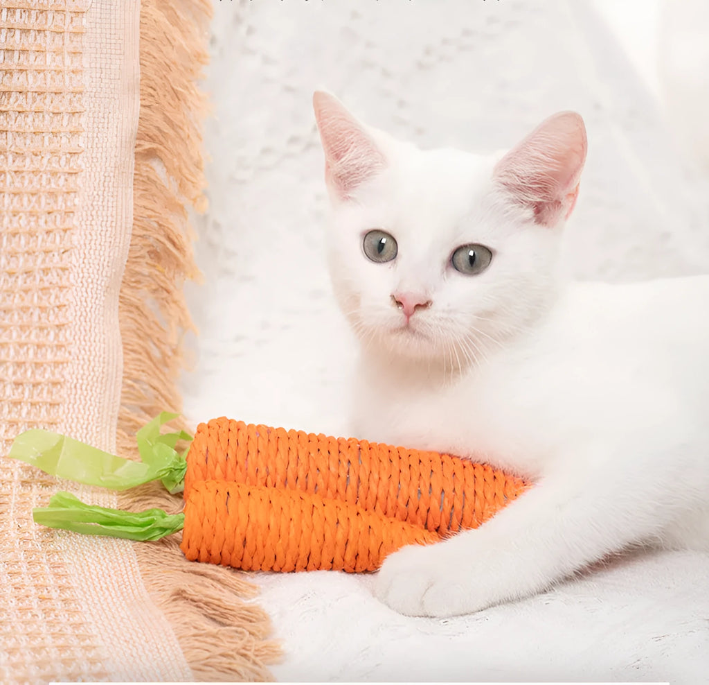 Assortment of cat toys including paper carrot bites, ringing stones, textured sticks and tooth grinding pieces in two sizes