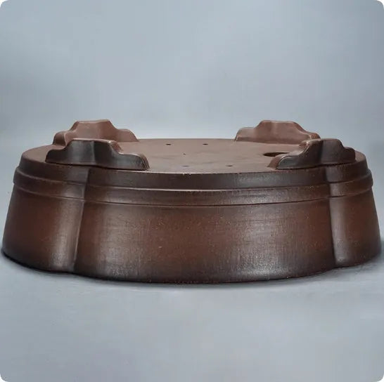 Classical purple clay bonsai pot 50cm wide traditional planter for indoor plants