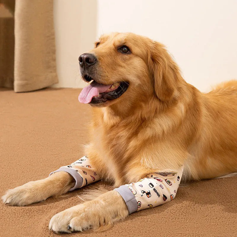 Adjustable dog knee protector with elbow padding and matching scarf in blue, grey or yellow