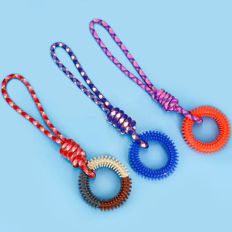 Blue braided rope dog toy with knots for tugging and chewing by a medium-sized dog