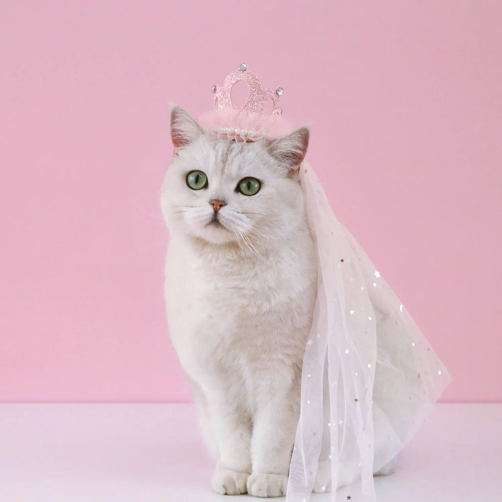 Pet cat wearing princess crown headdress with beige crown veil accessory