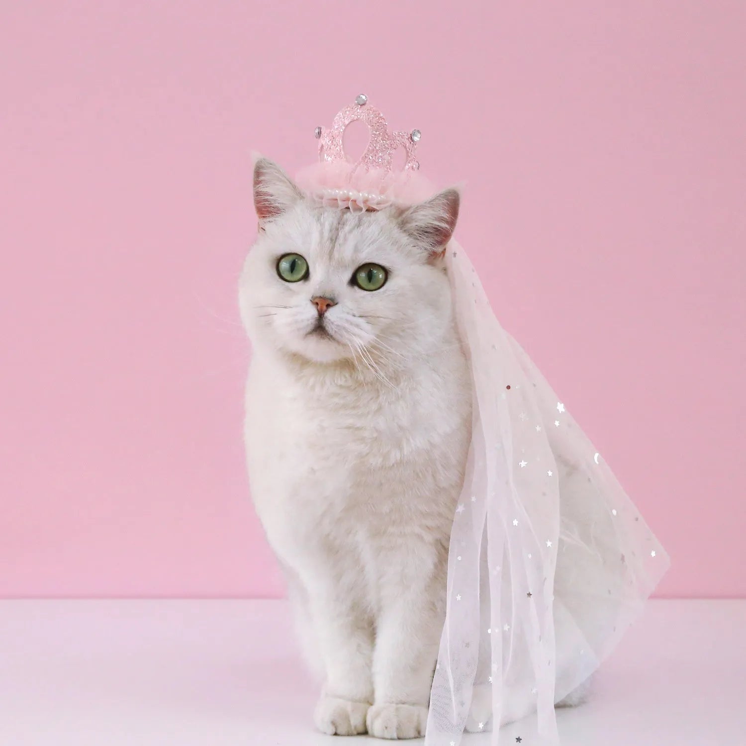 Pet cat wearing princess crown headdress with beige crown veil accessory