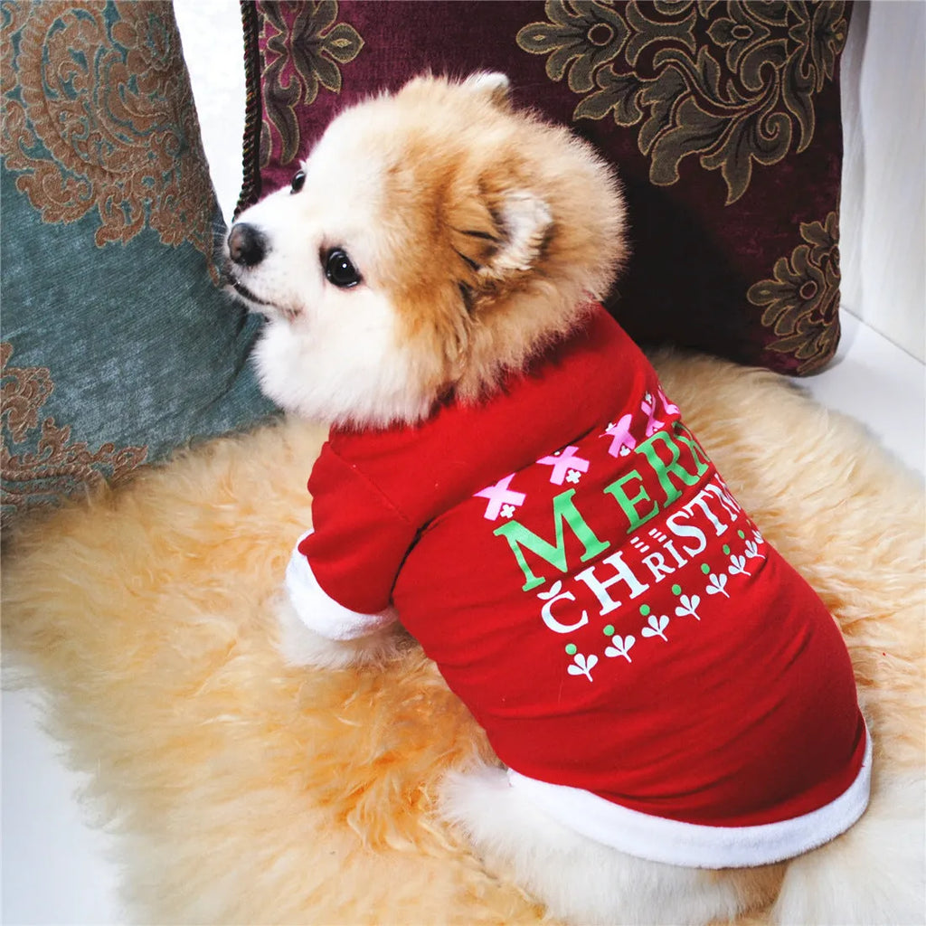 Christmas dog coat cotton terry with hairy border on small dog