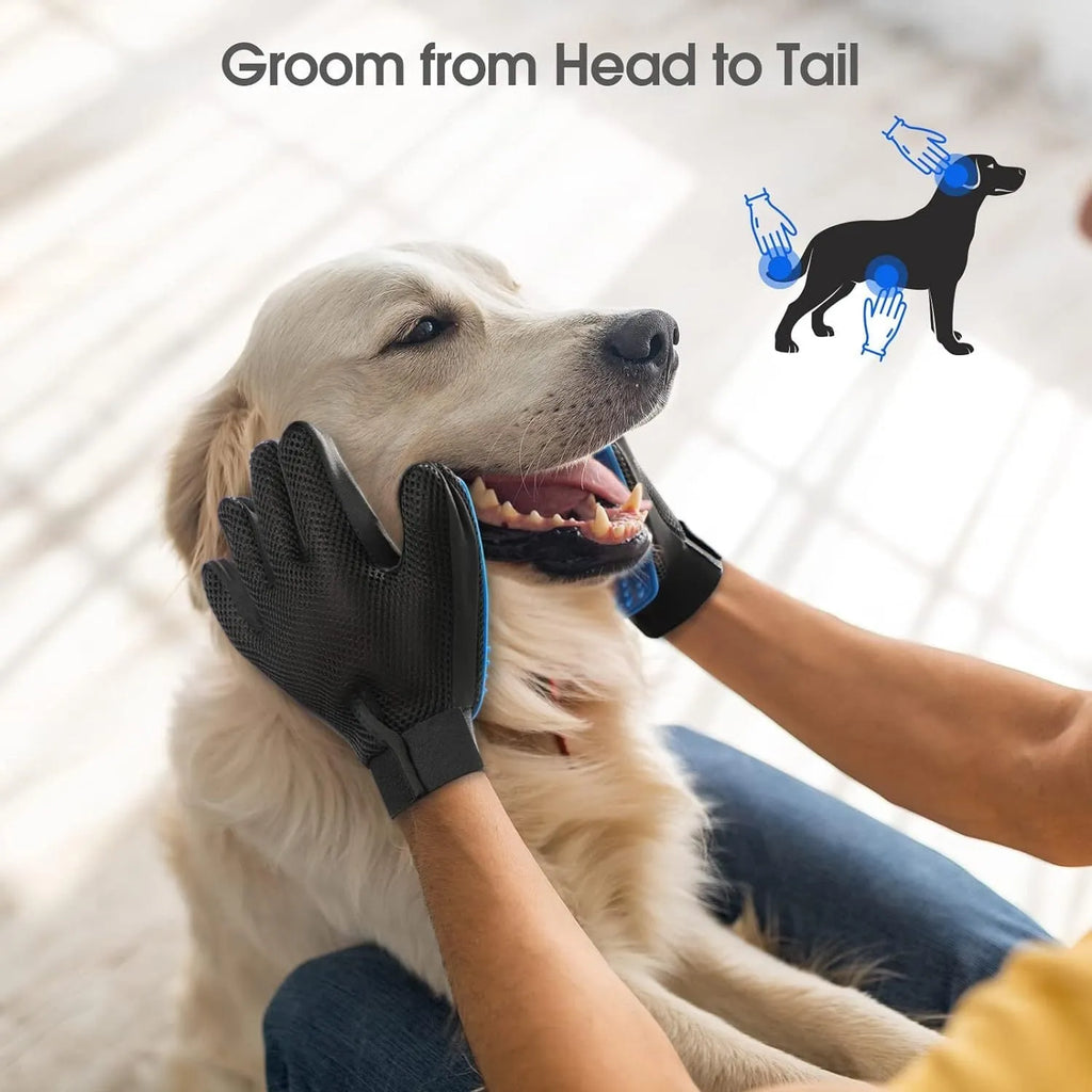Blue pet grooming gloves with silicone tips for dog washing and cat hair removal