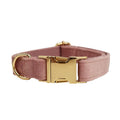Light purple pink velvet dog collar for small to medium sized dogs
