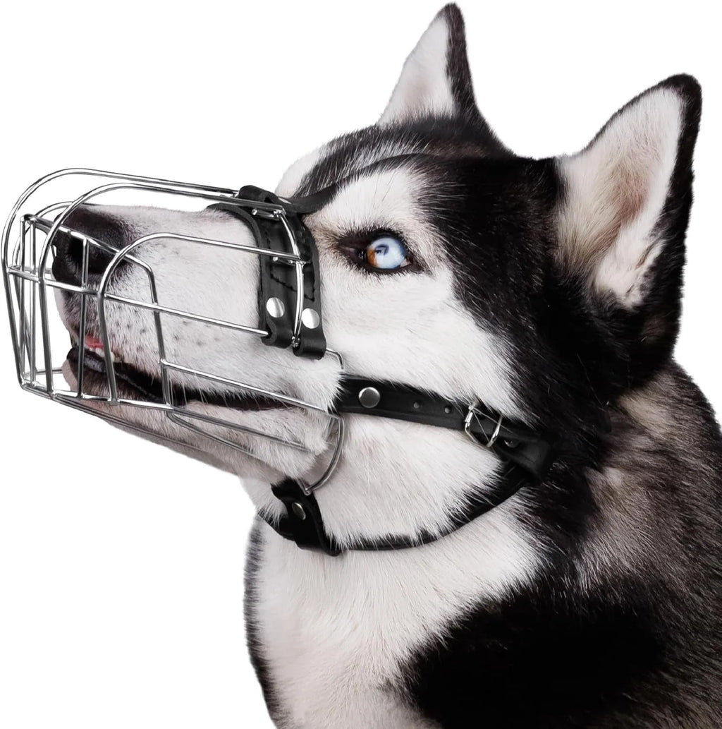 Black metal dog mouth cover designed specifically for Golden Retriever and German Shepherd breeds