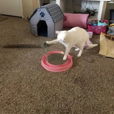 Blue circular cat scratcher with ball track and replaceable cardboard scratching surface