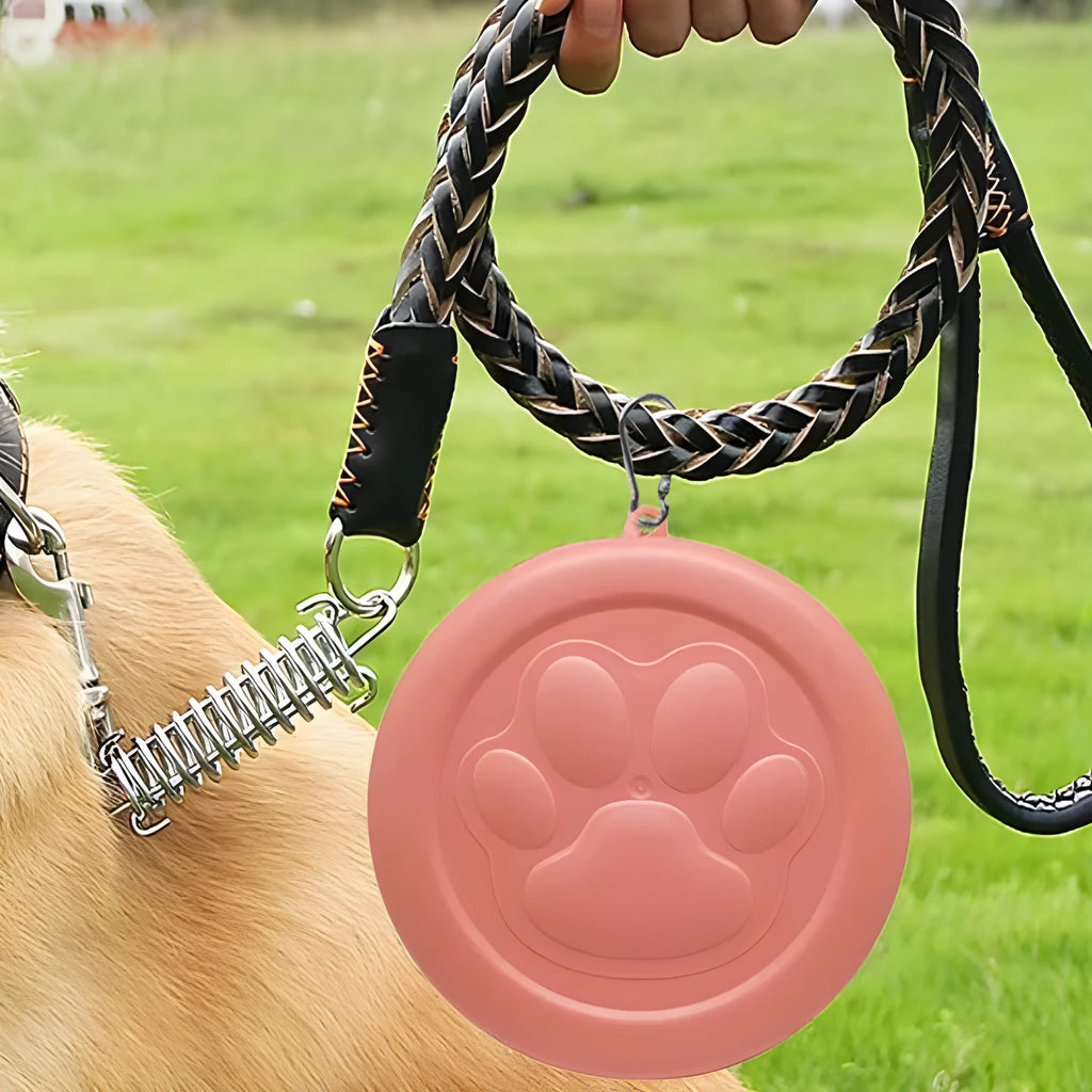 Portable dog feeding bowl with a separate snack box attached, shown in light green and pink colour options.