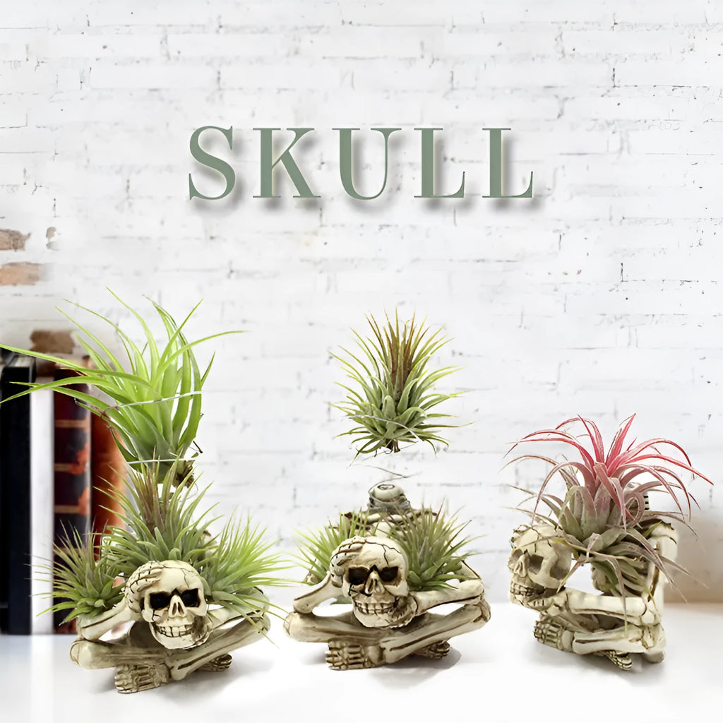 Gothic skull design Tillandsia bracket with resin pot and iron base for soilless plant display