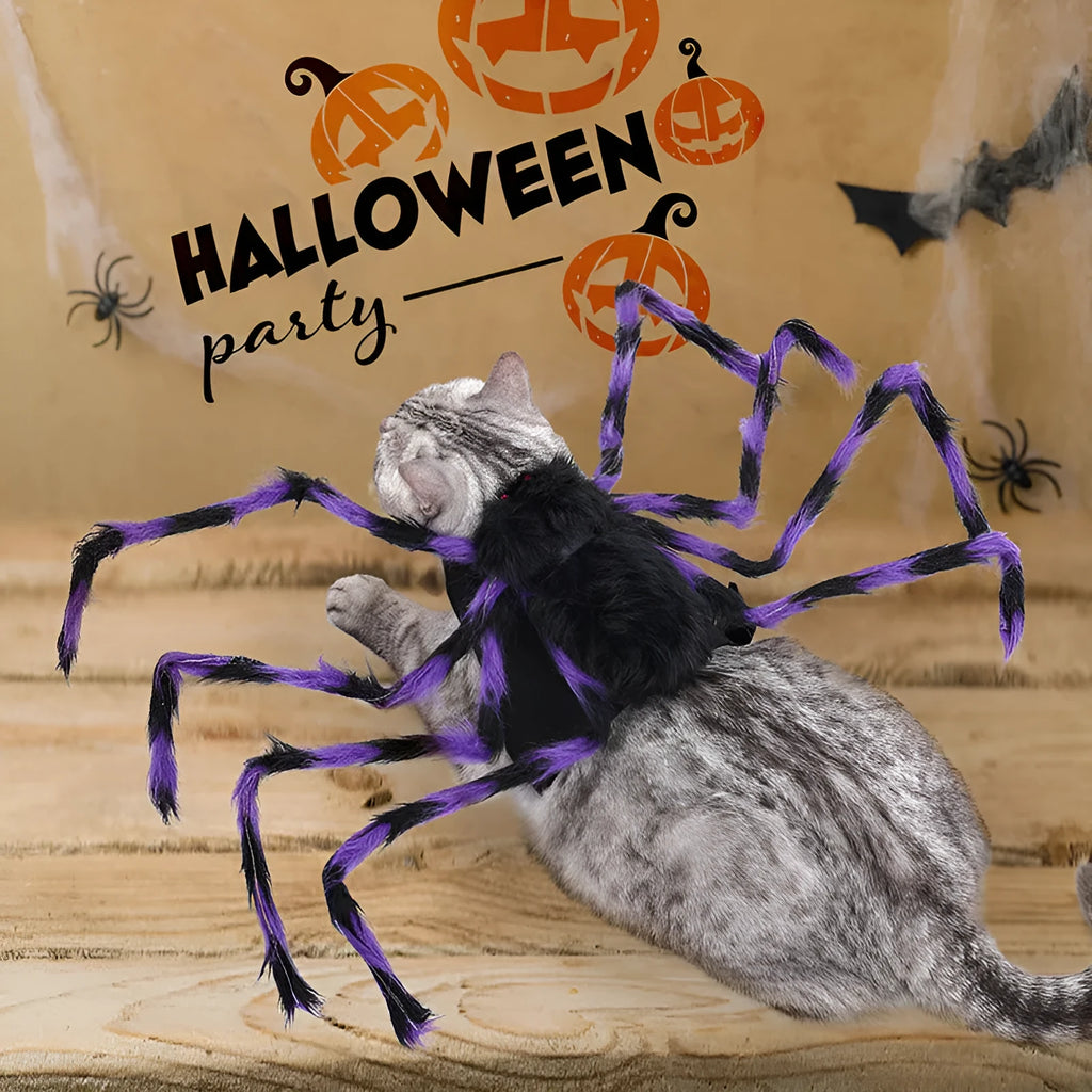 Halloween spider pet costume for cats and dogs in multiple sizes and colours