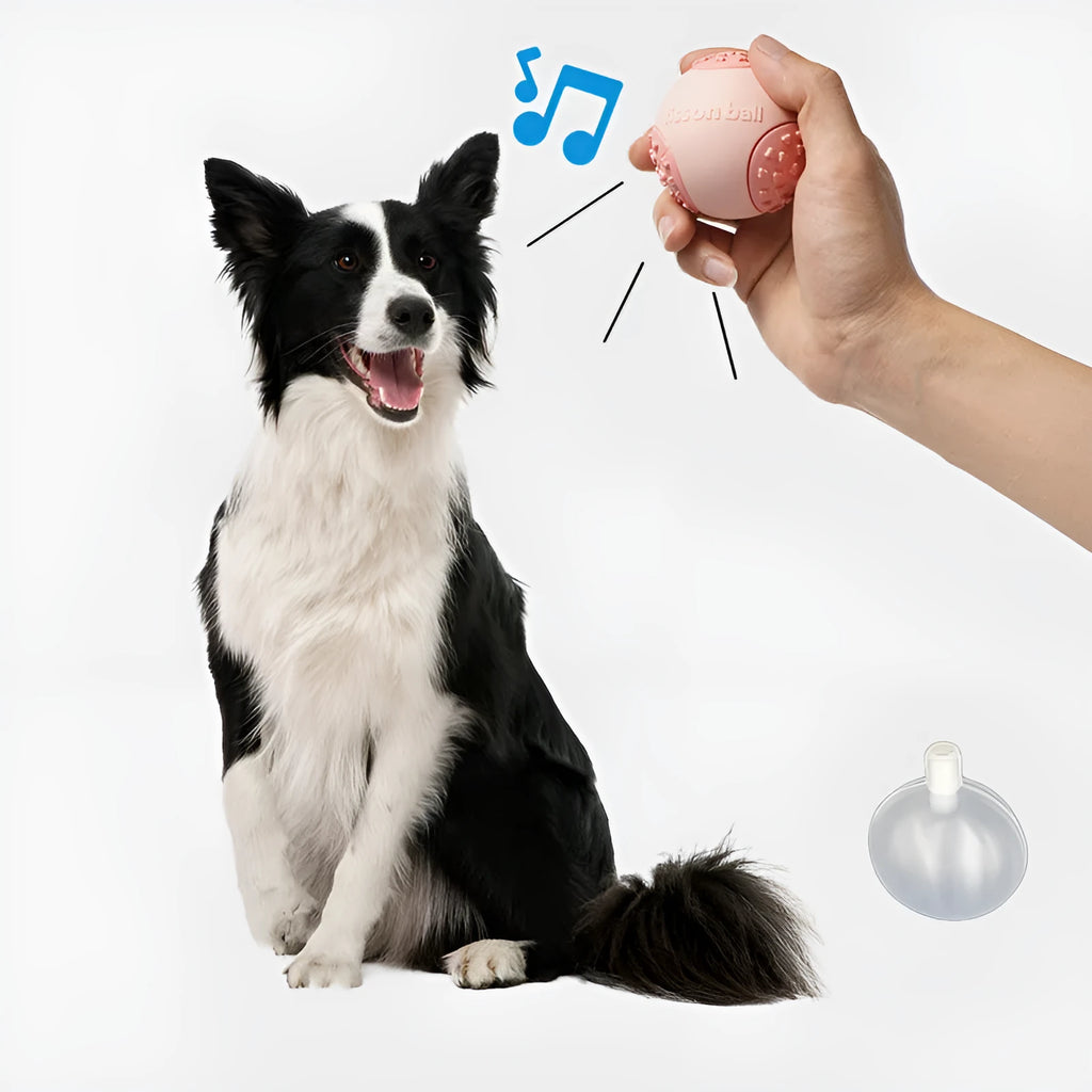 Green and pink 64mm durable rolling ball interactive dog toy.