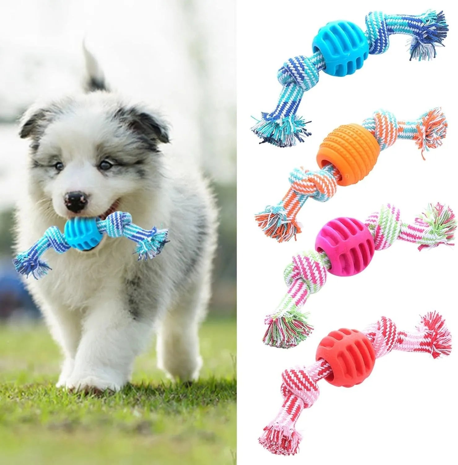 Blue molar-shaped dog chew toy with rope elements for teeth cleaning and oral health