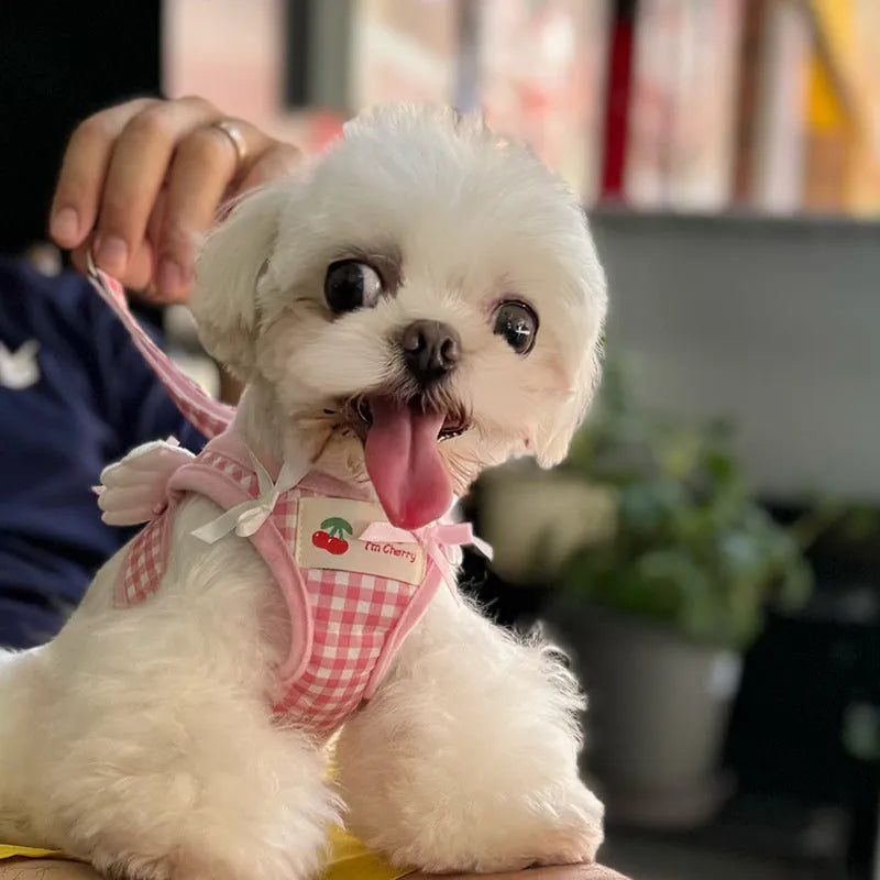 Small dog wearing pink cotton chest and back harness with leash attachment points