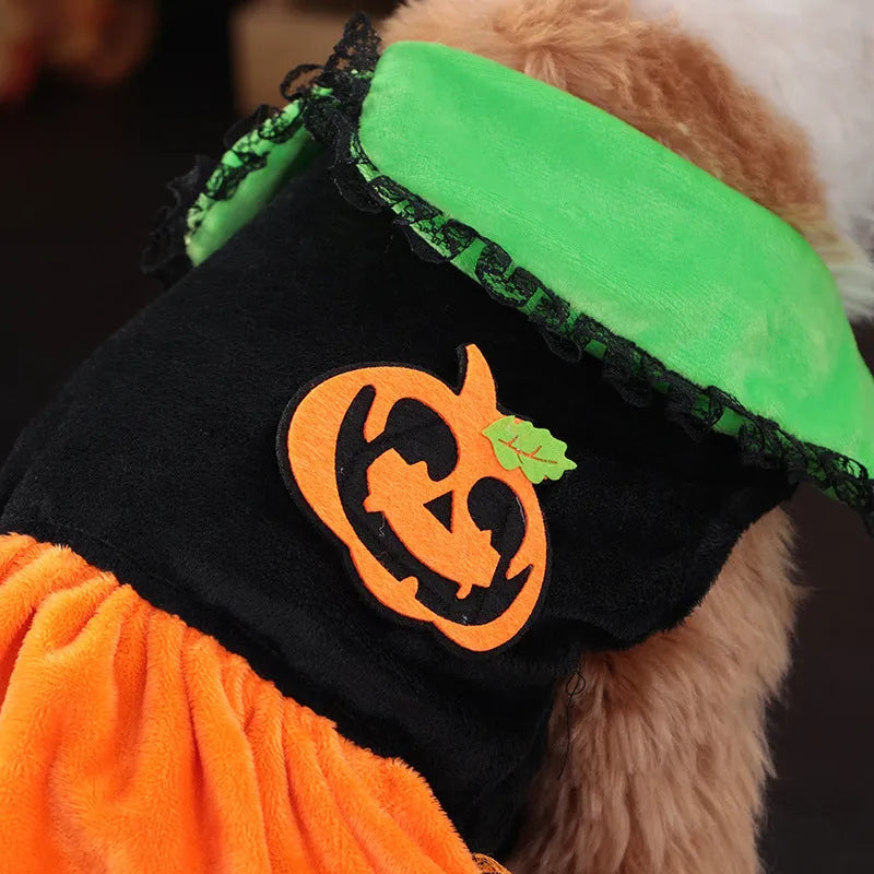 Halloween pet costume for dog or cat, shown as a pumpkin skirt and a sweater in crystal velvet fabric.