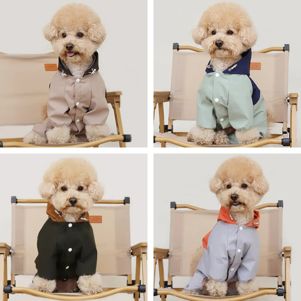 Small dog wearing a khaki coloured British style waterproof polyester shell jacket.