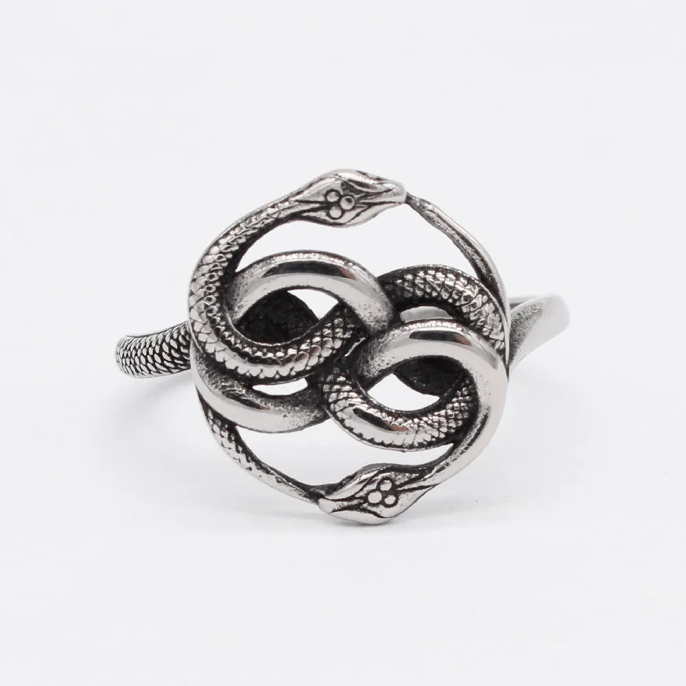 Retro double snake ring in titanium steel with steel colour finish showing entwined snake design