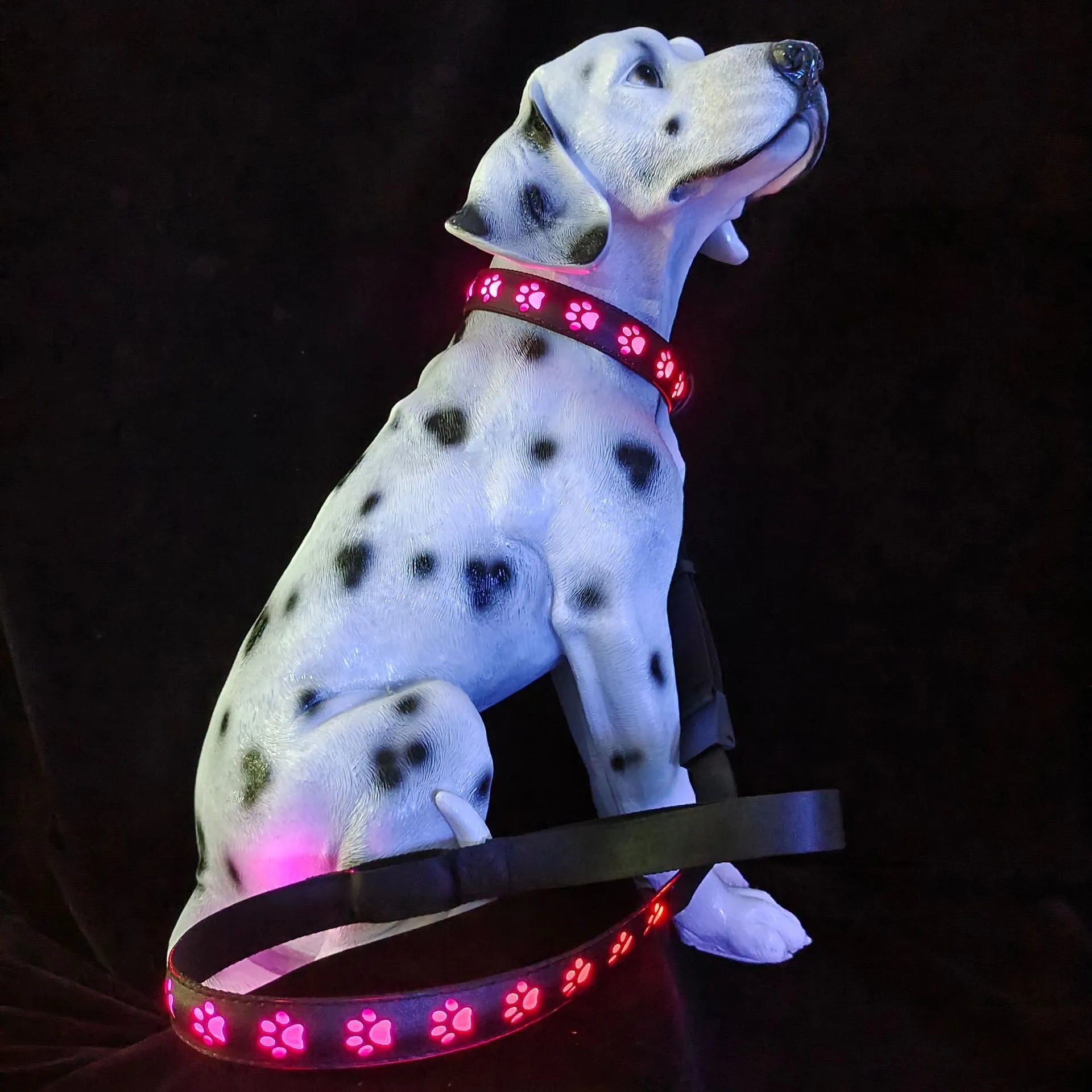 LED luminous dog collar with paw print pattern showing multicolour lights, adjustable polyester band