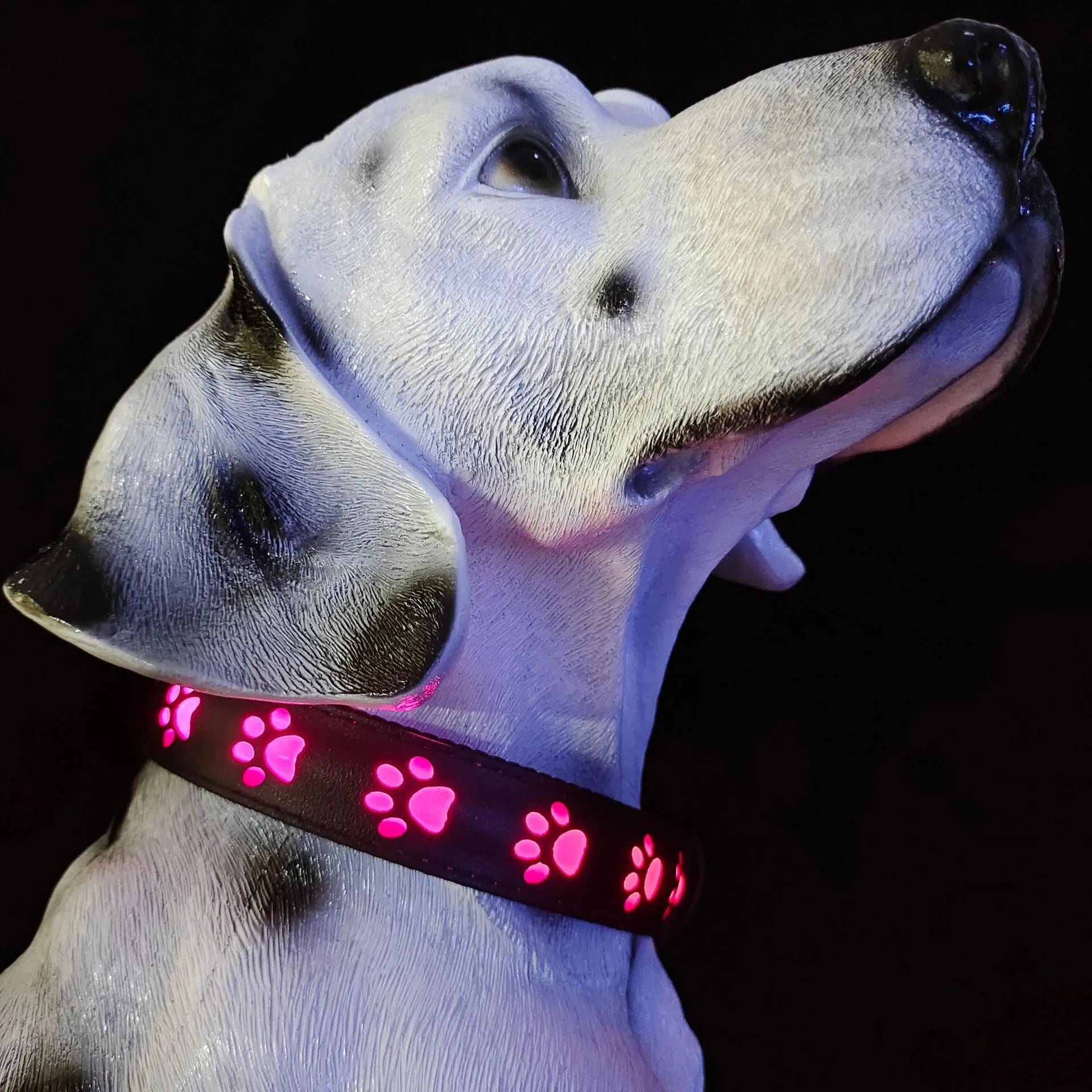 LED luminous dog collar with paw print pattern showing multicolour lights, adjustable polyester band