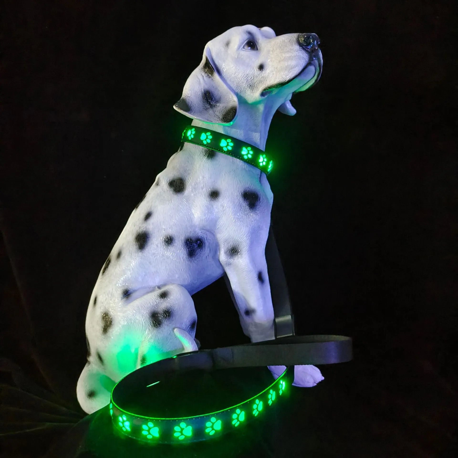 LED luminous dog collar with paw print pattern showing multicolour lights, adjustable polyester band