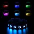 LED luminous dog collar with paw print pattern showing multicolour lights, adjustable polyester band