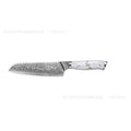Damascus pattern VG10 steel combined chef knife with 21cm blade and 11cm handle