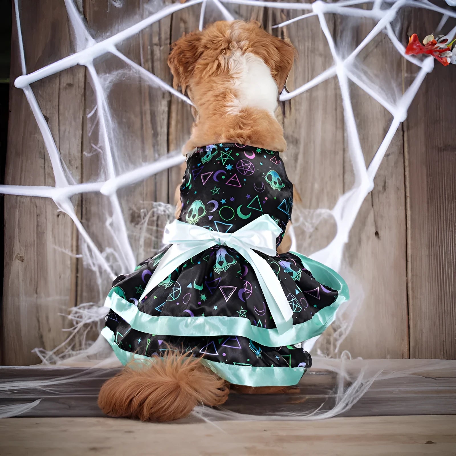 Colourful pumpkin print double-layer dog skirt with elastic waistband for Halloween