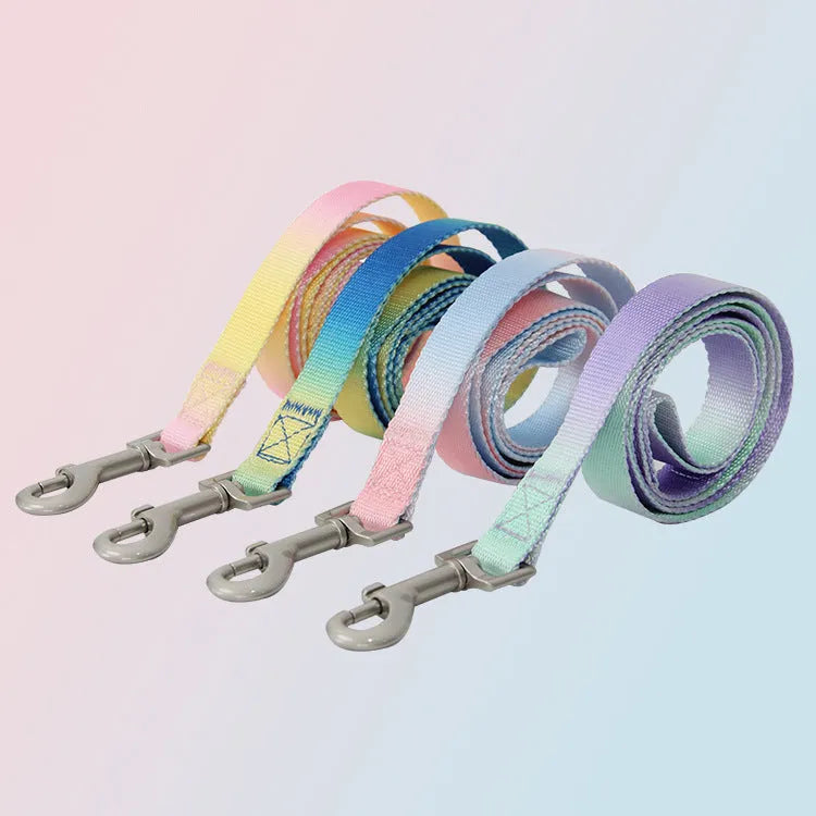 Gradient colour pet leash set showing nylon collar, chest strap and bracelet in pink and blue colour combination