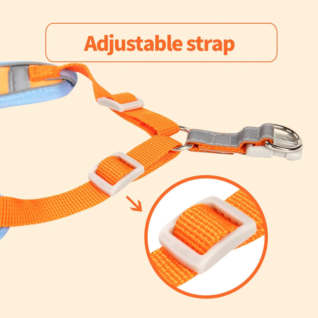Adjustable dog harness and leash set in assorted colours with a chest strap.
