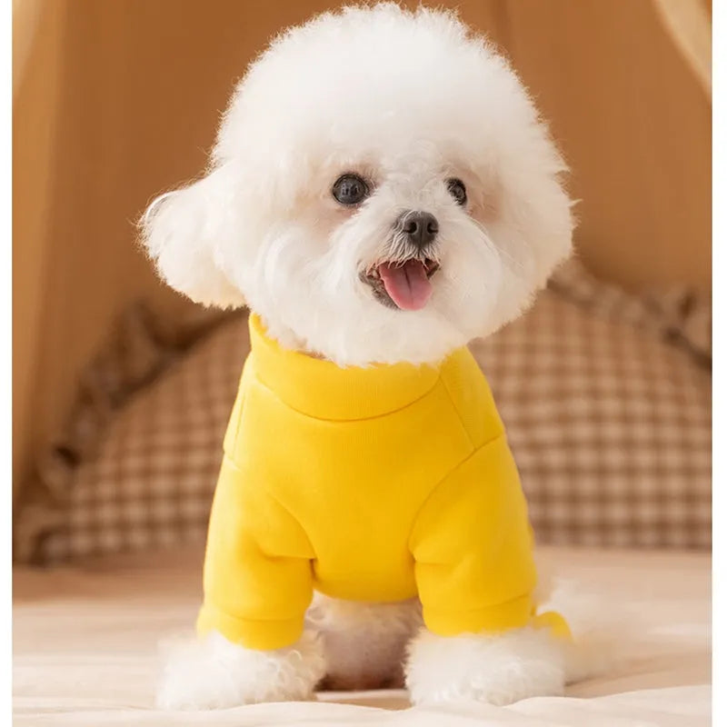 Green fleece puppy hoodie on a small dog, four-legged design with hood for autumn winter warmth