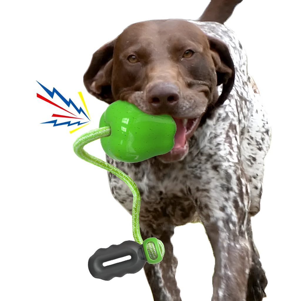 Green and red dog molar toys with hollow treat-dispensing ball design