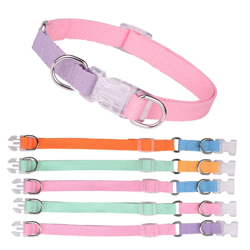 Polyester ribbon dog collar set with matching hand rope and chest strap in multicolour combinations