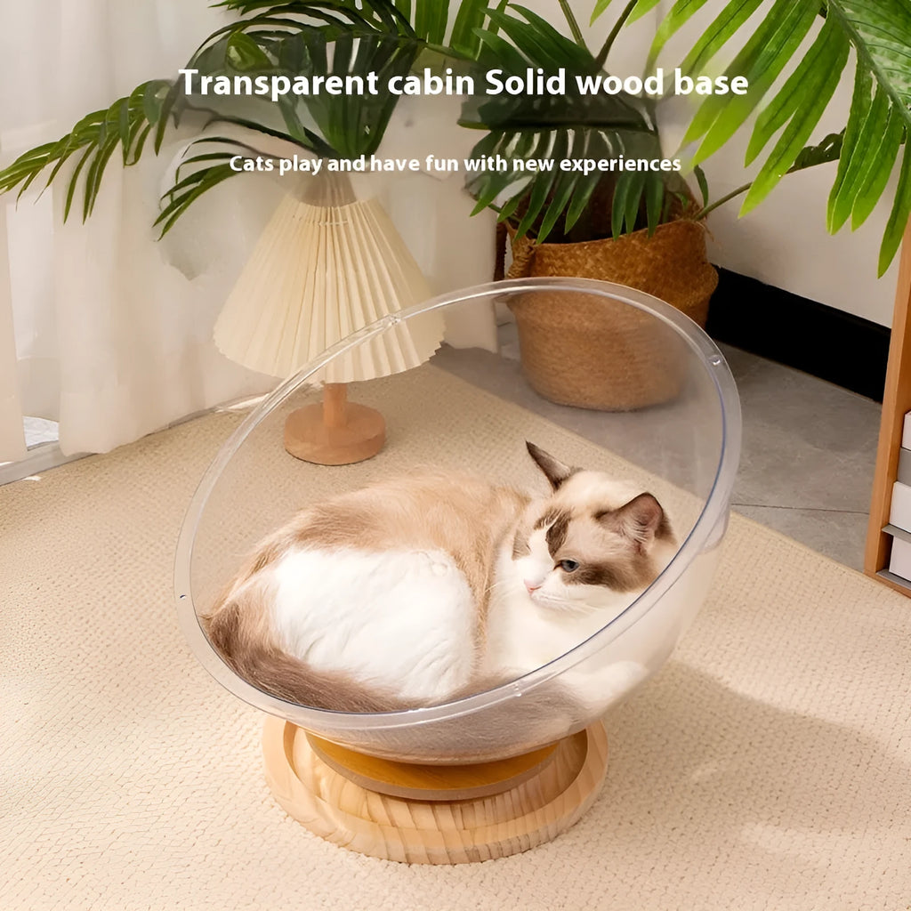 Transparent acrylic cat space capsule bed with bathtub design in multiple size options