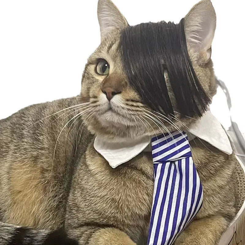 Black polyester cat wig with imitation braid styling for fox costume dress up