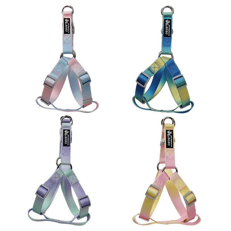 Gradient colour pet leash set showing nylon collar, chest strap and bracelet in pink and blue colour combination