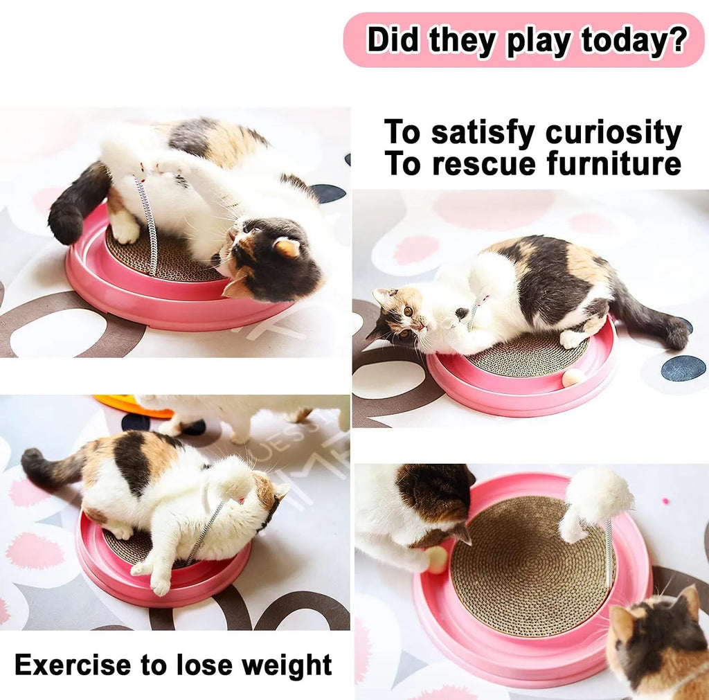 Blue circular cat scratcher with ball track and replaceable cardboard scratching surface