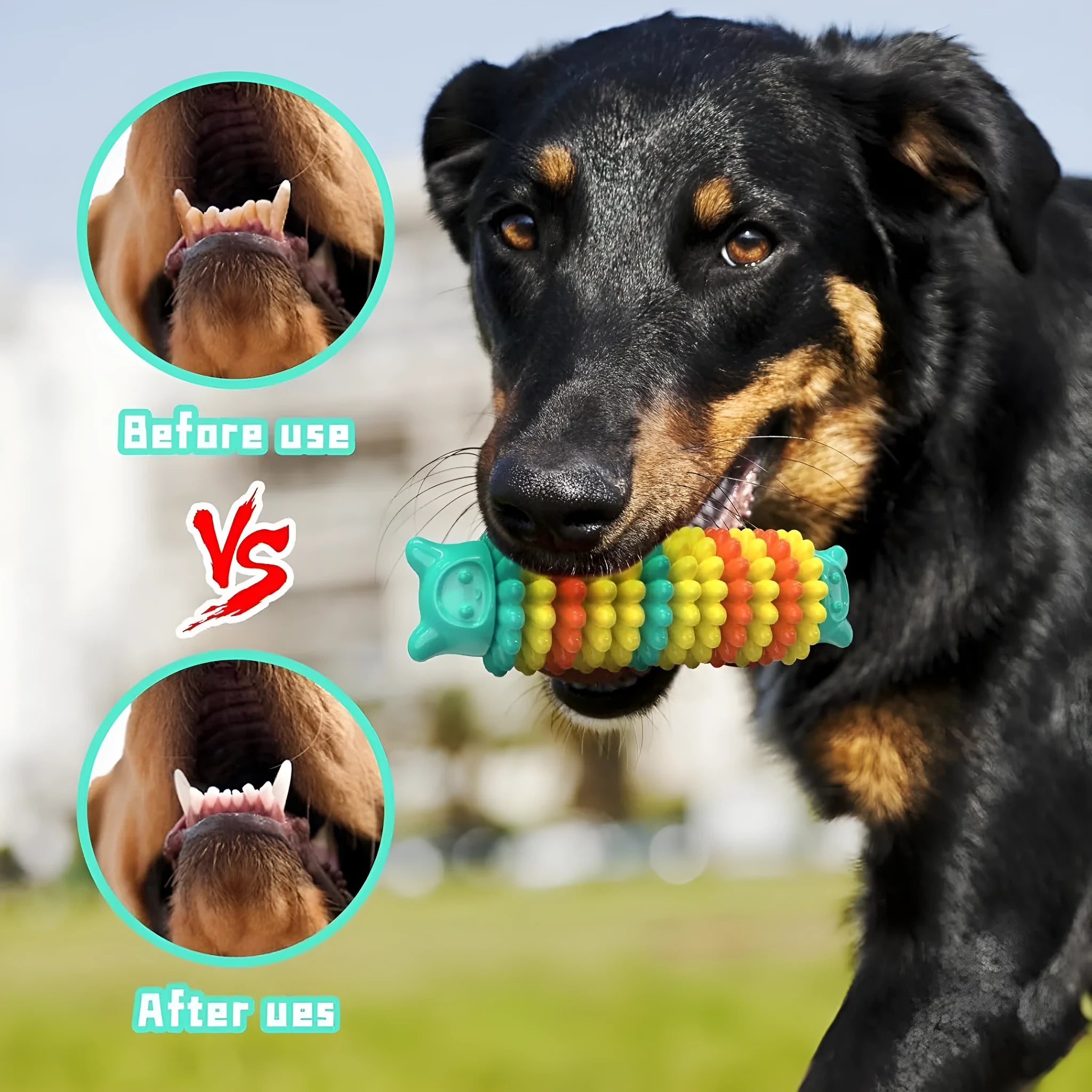 Blue green and pink caterpillar-shaped rubber dog chew toy for aggressive chewers, 17cm long
