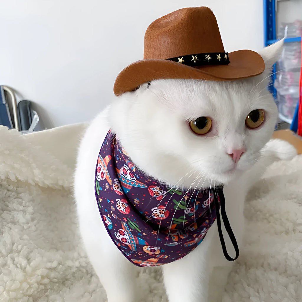 British cat cowboy hat for small pets in sizes S and M with decorative trim options