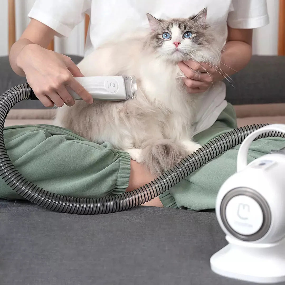 White pet grooming clipper kit with electric trimmer, scissors, combs, and cleaning brush