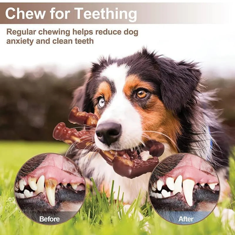 Scarlet red nylon dog chew toy with textured surface and beef flavouring
