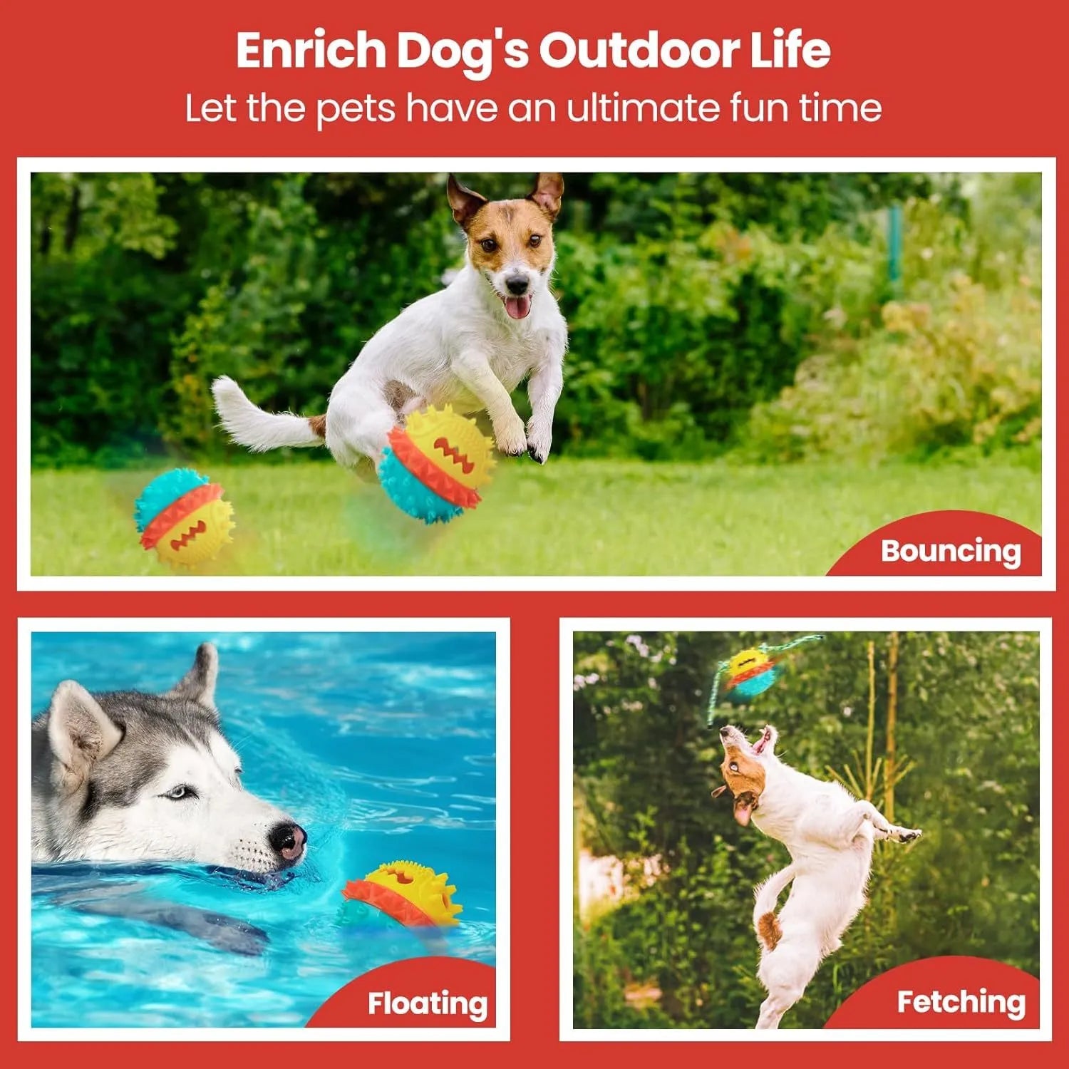 Blue and red squeaky dog chew toy with treat dispenser hole, shown next to a dog.