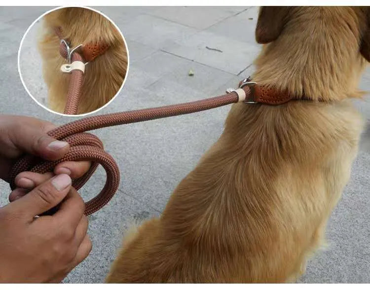 Brown nylon dog leash with 2.1 metre length and P chain attachment for collar connection